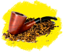 Семена табака курительного