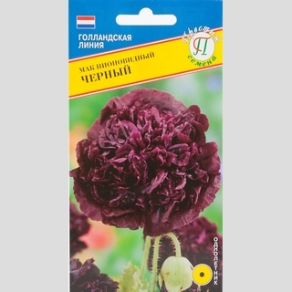 Мак Чёрный пионовидный