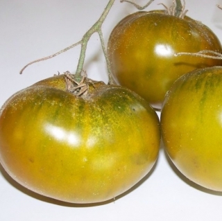 Томат Изумрудный город