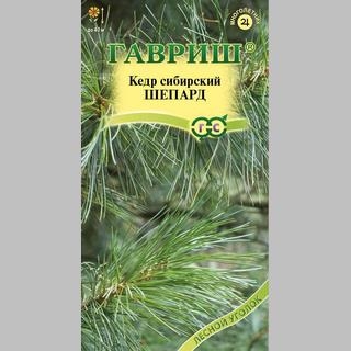 Кедр Шепард (сосна сибирская)