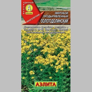 Зверобой Золотодолинский