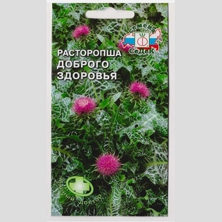 Расторопша Доброго Здоровья пятнистая