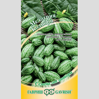 Мелотрия Колибри