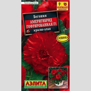 Бегония Америгибрид гофрированная F1 Красно-алая