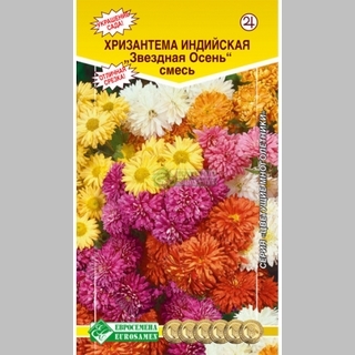 Хризантема Звездная осень смесь (индийская)