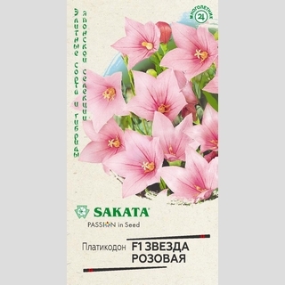 Платикодон Звезда F1 Розовая