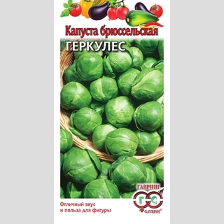 Капуста Геркулес