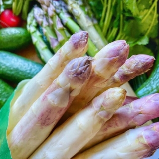 Спаржа Фиолетовая