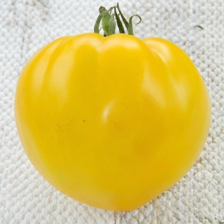 Томат Царевич