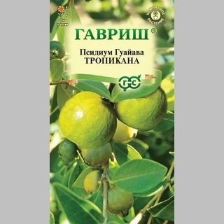 Гуайава Тропикана (псидиум)