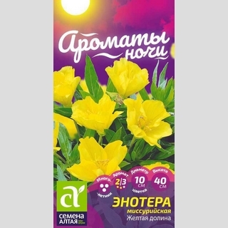 Энотера Желтая долина миссурийская