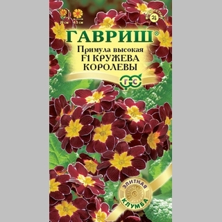 Примула Кружева королевы F1 смесь