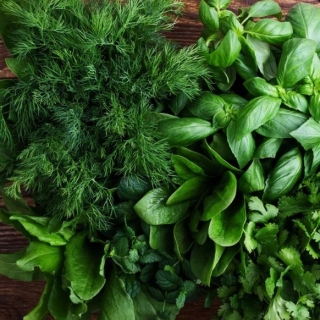 Набор Зелени для подоконника, сада Ароматный Беспредел