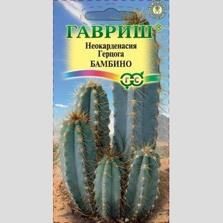 Цереус Бамбино перуанский