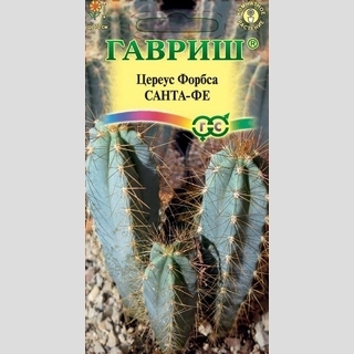 Цереус Санта-Фе (Форбса)