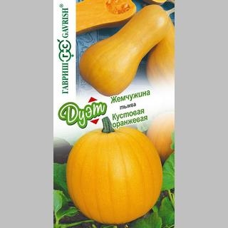 Дуэт Тыква Жемчужина + Кустовая оранжевая