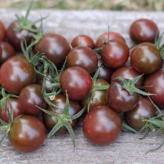 Томат Афро-черри