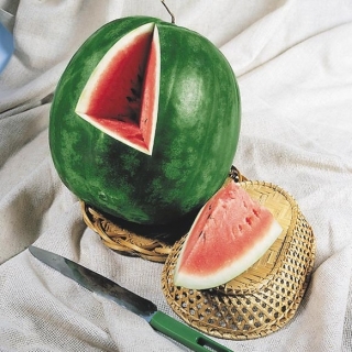 Арбуз Ультраранний