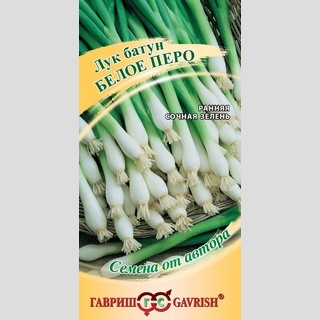 Лук Белое перо на зелень