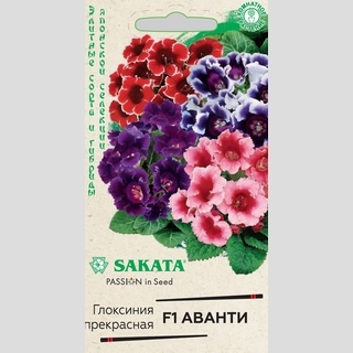 Глоксиния Аванти F1
