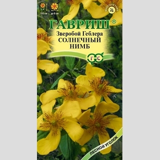 Зверобой Солнечный нимб (Геблера)