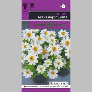 Цинния Белиз Даубл Белая