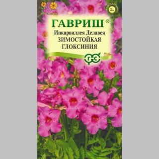Инкарвиллея Делавея Зимостойкая глоксиния