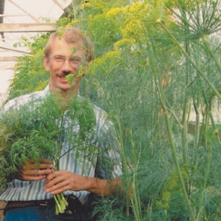 Укроп Русский размер