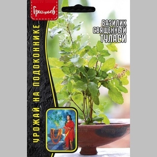 Базилик Туласи священный (большой пакет)