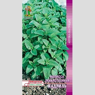 Мелисса Кадриль лекарственная (Лимонная мята)