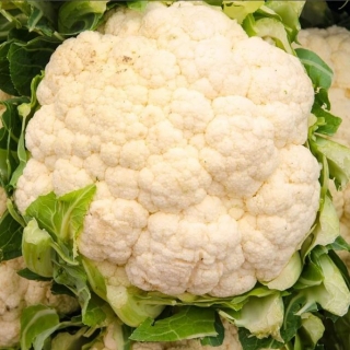 Капуста Коза-Дереза (цветная)