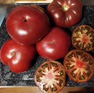 Томат Шоколадная Глыба (Реликтовые томаты)
