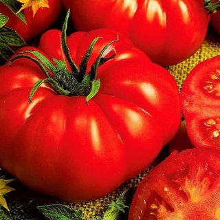 Томат Дворцовый