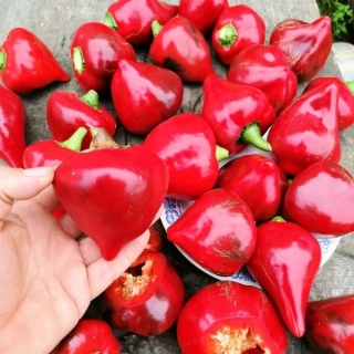 Перец Леся Сердцевидный (большой пакет)