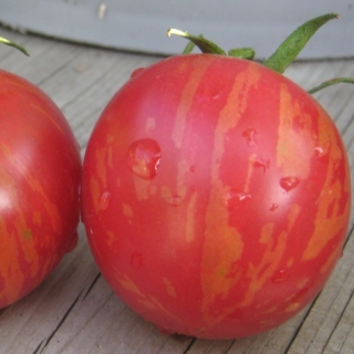 Томат Курочка Ряба Розовая (большой пакет)
