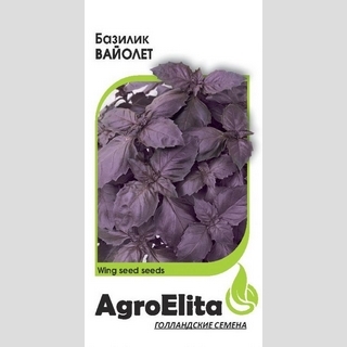 Базилик Вайолет