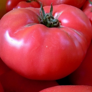 Томат Розовый Монстр (большой пакет)