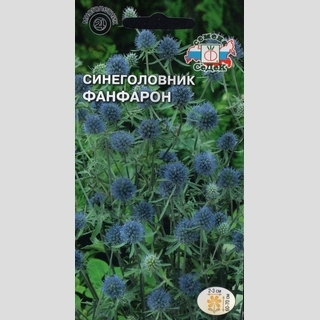 Синеголовник Фанфарон