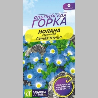 Нолана Синяя птица