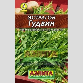 Эстрагон Гудвин (Лидер)