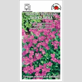 Обриета Лейхтлина F1 карминно-розовая