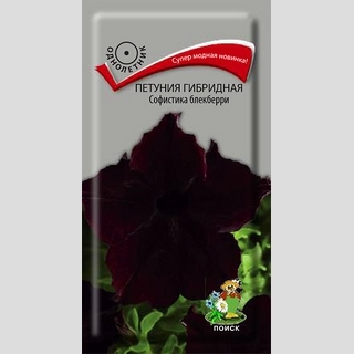 Петуния Софистика F1 Блекберри
