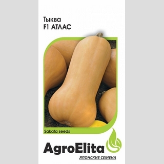 Тыква Атлас F1 (Саката)