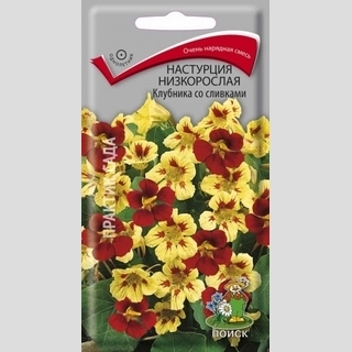 Настурция Клубника со сливками