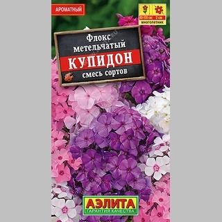 Флокс Купидон смесь (метельчатый)
