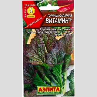Горчица Витамин (салатная)