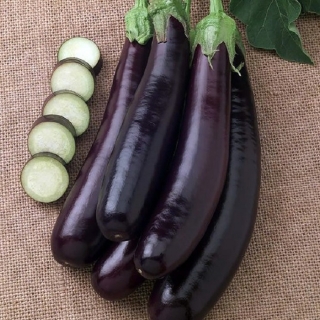 Баклажан Марафонец