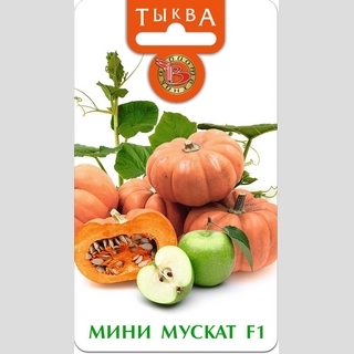 Тыква Мини Мускат F1