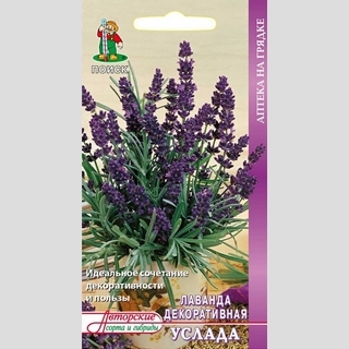 Лаванда Услада декоративная (Аптека на грядке)