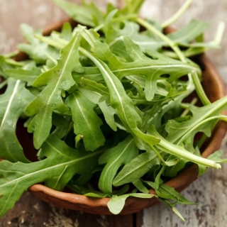 Рукола Быстрорастущая (индау посевная)